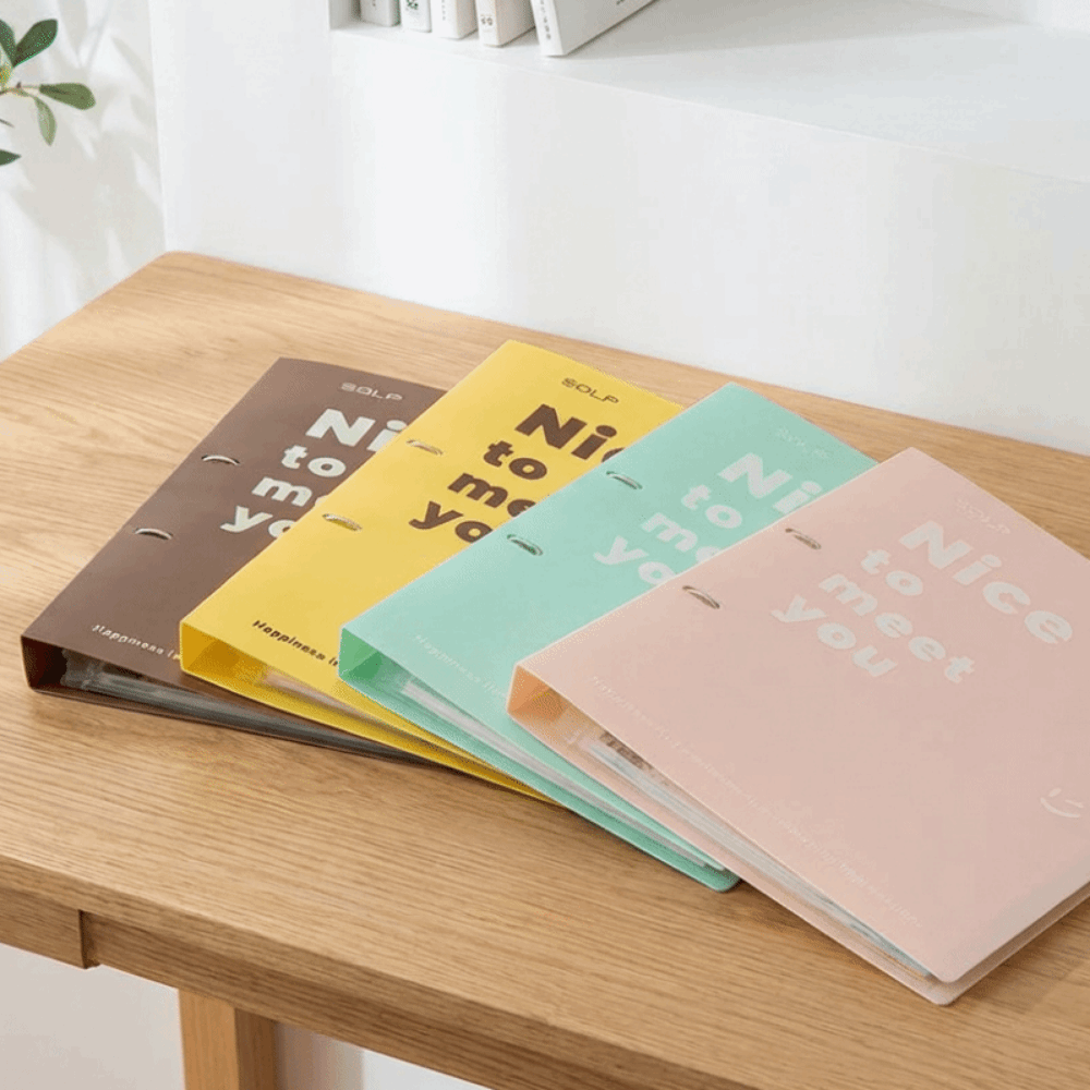 Practical PP Loose Leaf File B - Binder Clip Assorted recension och pris